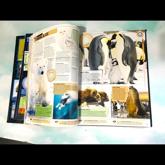 Guinness World Records 2020 Hardcover Book 254p. - Picture 4 of 12